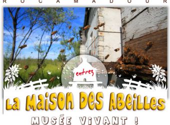 Photo LA MAISON DES ABEILLES