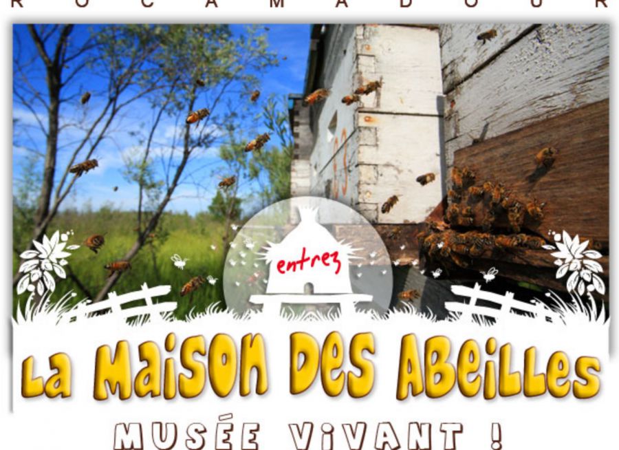 Image d'une ruche et du logo tirés de la homepage du site internet de La Maison des Abeilles à Rocamadour dans le Lot
