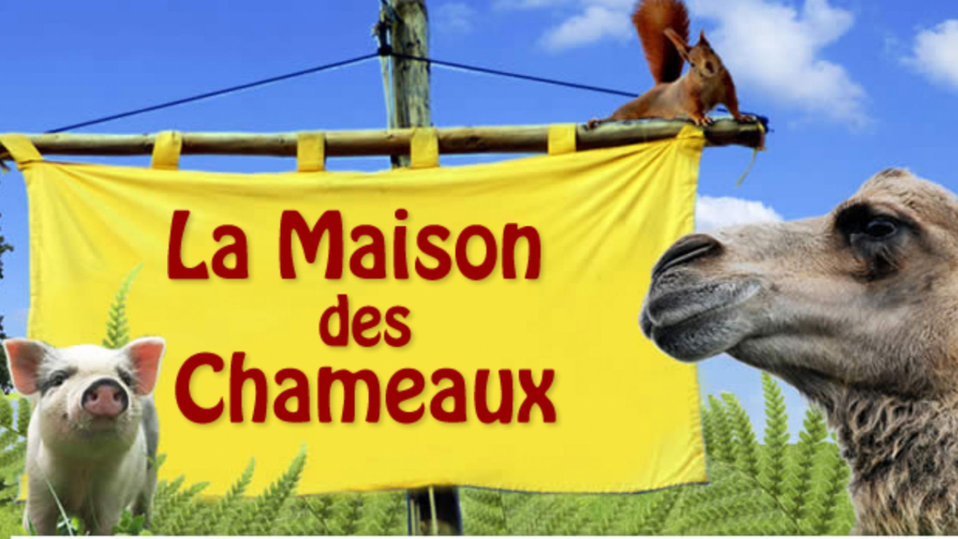 La Maison Des Chameaux 21 Horaires Tarifs Animaux A Voir Animations