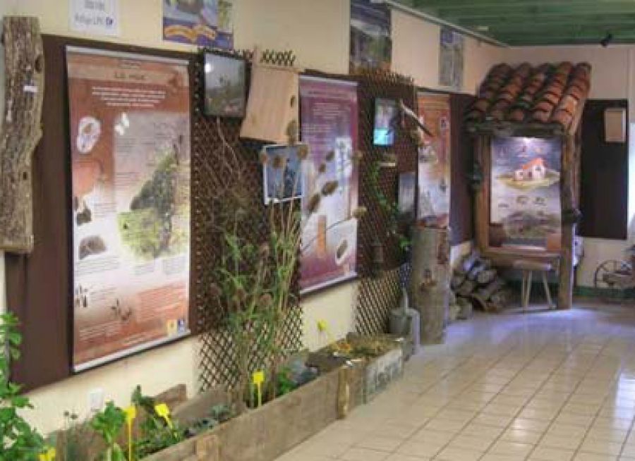 Photo d'une exposition nature à la Maison des Oiseaux du Haut-Allier à Lavoûte-Chilhac en Haute-Loire