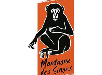 Photo LA MONTAGNE DES SINGES