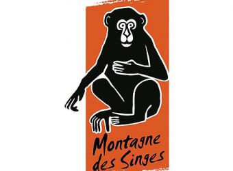 Photo LA MONTAGNE DES SINGES