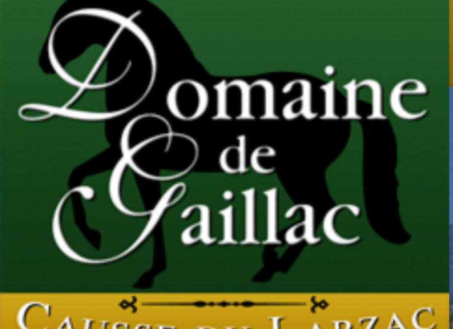 Logo du Domaine de Gaillac, lieu dédié au cheval à Sauclières dans l'Aveyron