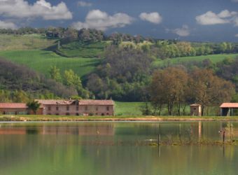 Photo LE DOMAINE DES OISEAUX