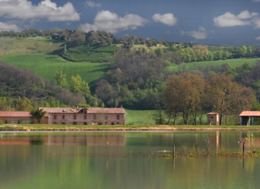 Photo de l'étang du site ornithologique nature Le Domaine des Oiseaux à Mazères en Ariège