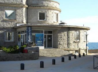 Photo LE MARINARIUM DE CONCARNEAU