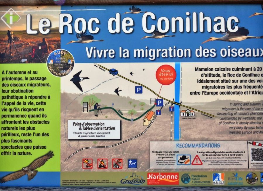 Photo d'un panneau de présentation du Roc de Conilhac, site naturel pour l'observation d'oiseaux à Gruissan dans l'Aude