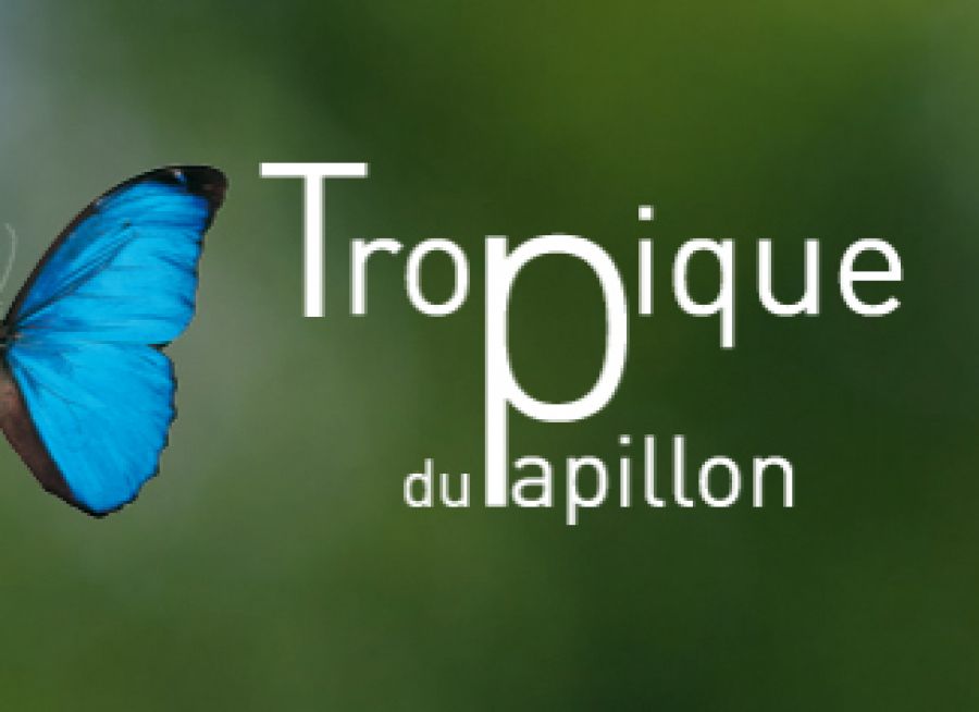Logo du Tropique du Papillon, serre tropicale et papillons à Elne dans les Pyrénées-Orientales