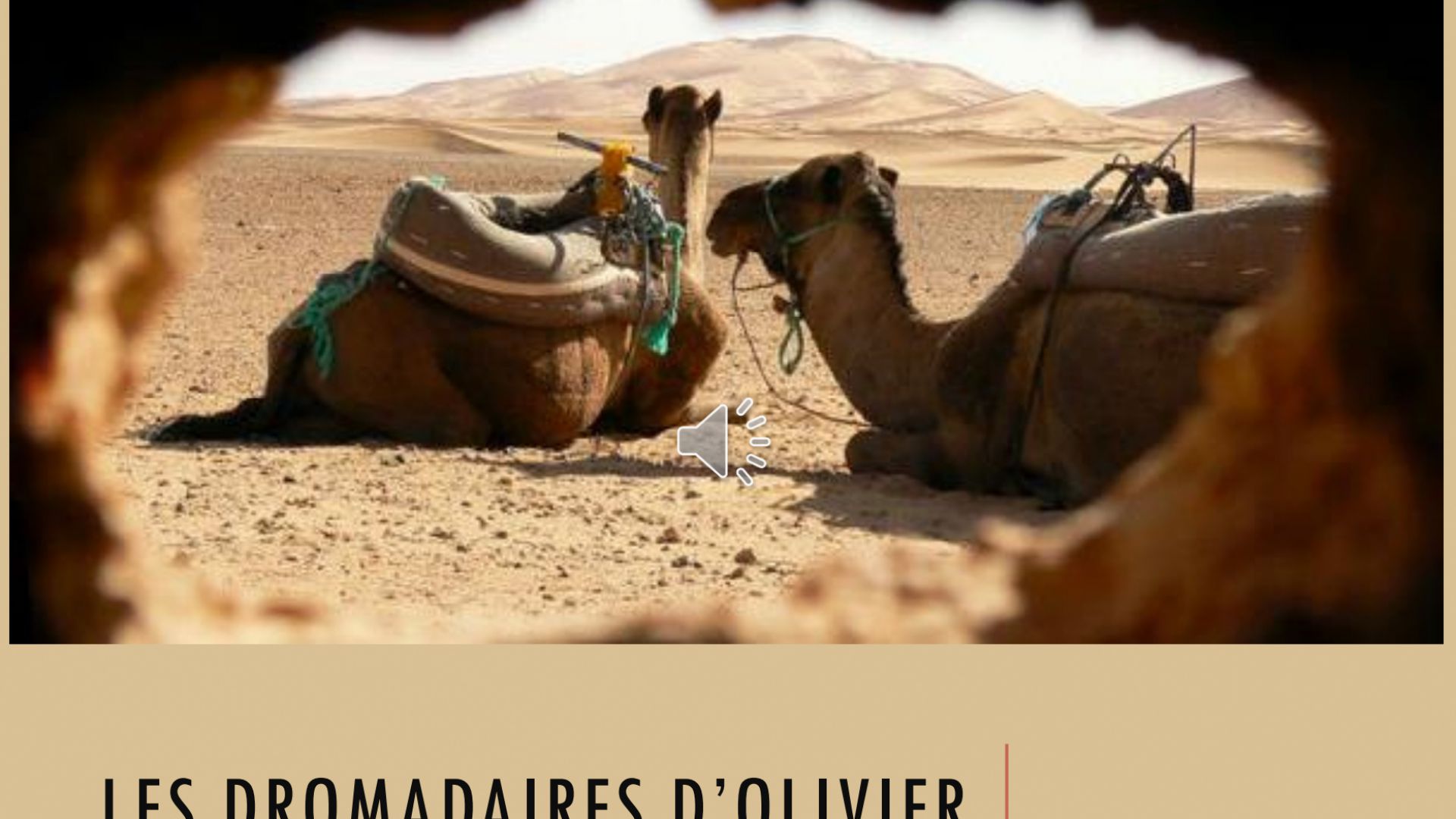 Élevage de chameaux et dromadaires en France