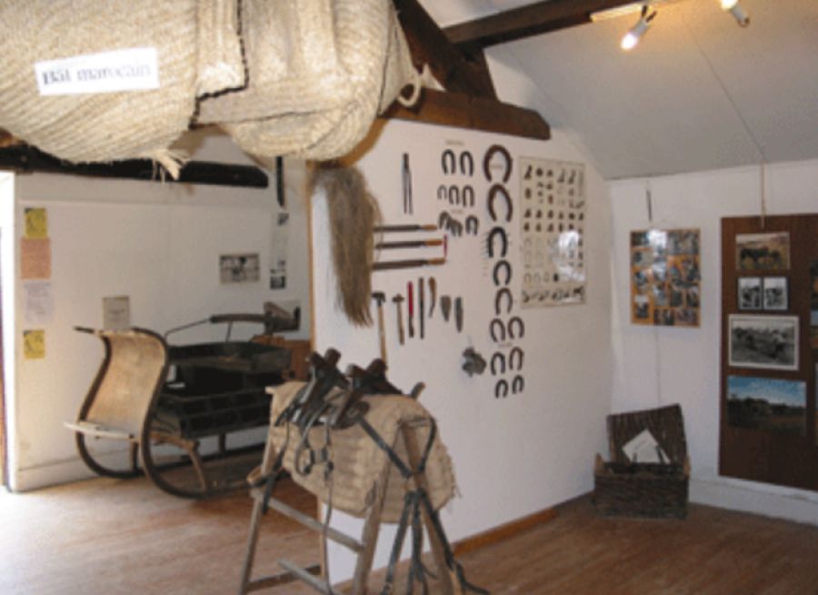 Photo du musée de La Maison de l'Âne, asinerie et ferme pédagogique à Beauvoir-sur-Mer en Vendée