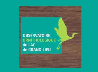 Photo OBSERVATOIRE ORNITHOLOGIQUE GRAND LIEU