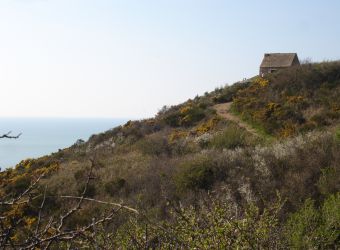 Photo LA POINTE DE CHAMPEAUX