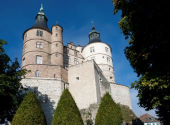 Photo MUSEUM CUVIER DU CHATEAU DE MONTBELIARD