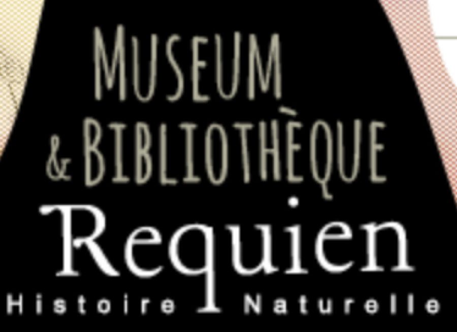 Logo du muséum et bibliothèque Requien, musée d'histoire naturelle à Avignon dans le Vaucluse