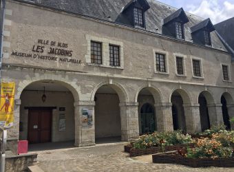 Photo MUSEUM D'HISTOIRE NATURELLE DE BLOIS