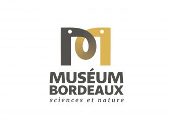 Photo MUSEUM DE BORDEAUX SCIENCES ET NATURE