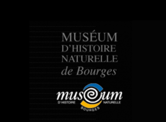 Photo MUSEUM D'HISTOIRE NATURELLE DE BOURGES
