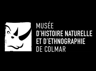Photo MUSEE D'HISTOIRE NATURELLE ET D'ETHNOGRAPHIE DE COLMAR