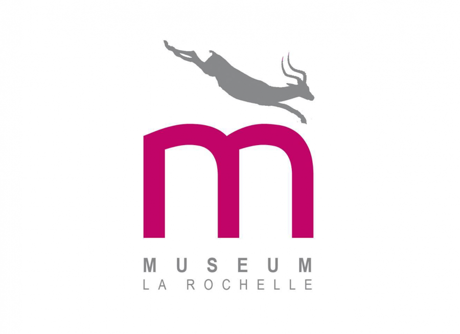 Logo du Museum de La Rochelle, musée d'histoire naturelle en Charente-Maritime
