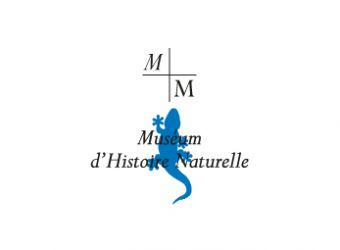 Photo MUSEUM D'HISTOIRE NATURELLE DE MARSEILLE