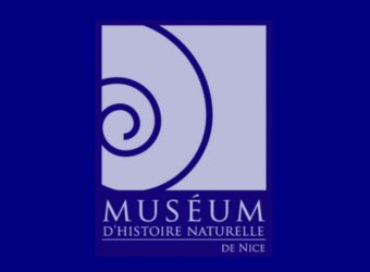 Photo MUSEUM D'HISTOIRE NATURELLE DE NICE