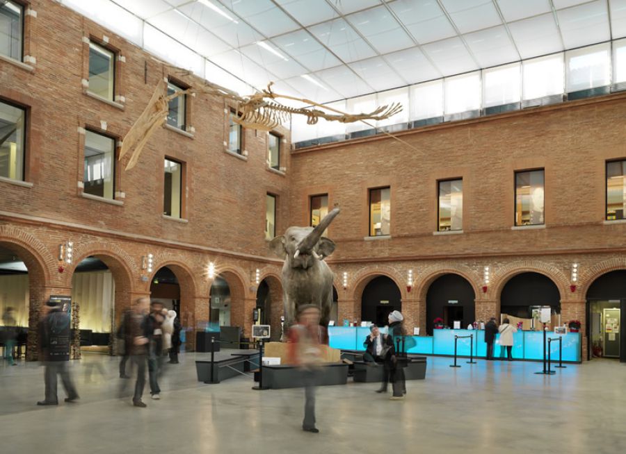 Photo du hall d'entrée du Muséum de Toulouse, musée d'histoire naturelle en Haute-Garonne
