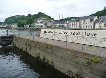 Photo OBSERVATOIRE AQUATIQUE DE CHATEAULIN