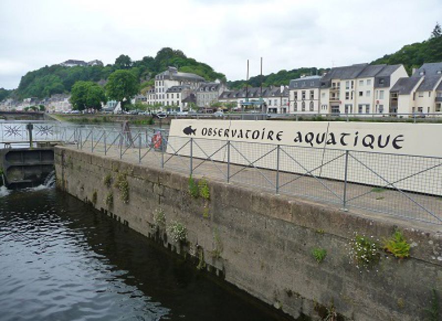 Photo extérieure du bâtiment abritant l'Observatoire Aquatique de Châteaulin dans le Finistère