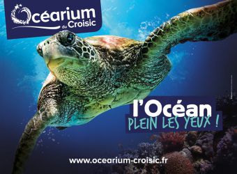 Photo OCEARIUM DU CROISIC