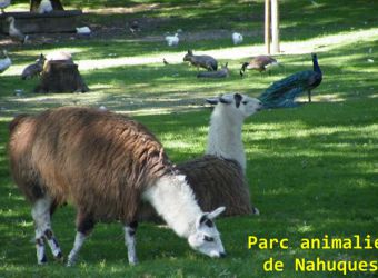 Photo PARC ANIMALIER DE NAHUQUES