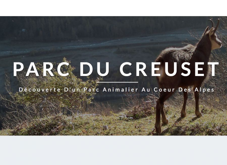 Photo d'un chamois au Parc Animalier du Creuset à Orcières dans les Hautes-Alpes