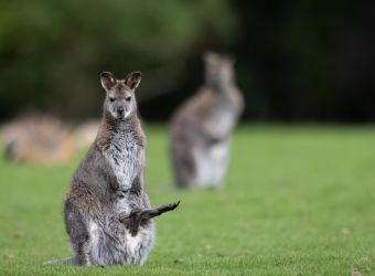 Photo PARC DE BRANFERE