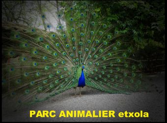 Photo PARC ANIMALIER ETXOLA