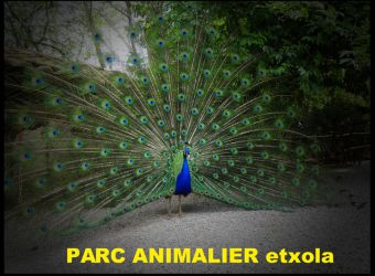 Animalia Parc, parc animalier en Aquitaine (33) près de Bordeaux