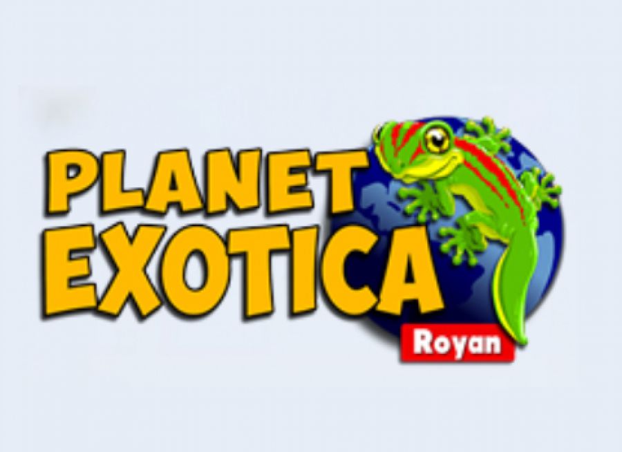 Logo de Planet Exotica, parc animalier et reptiles à Royan en Charent Maritime