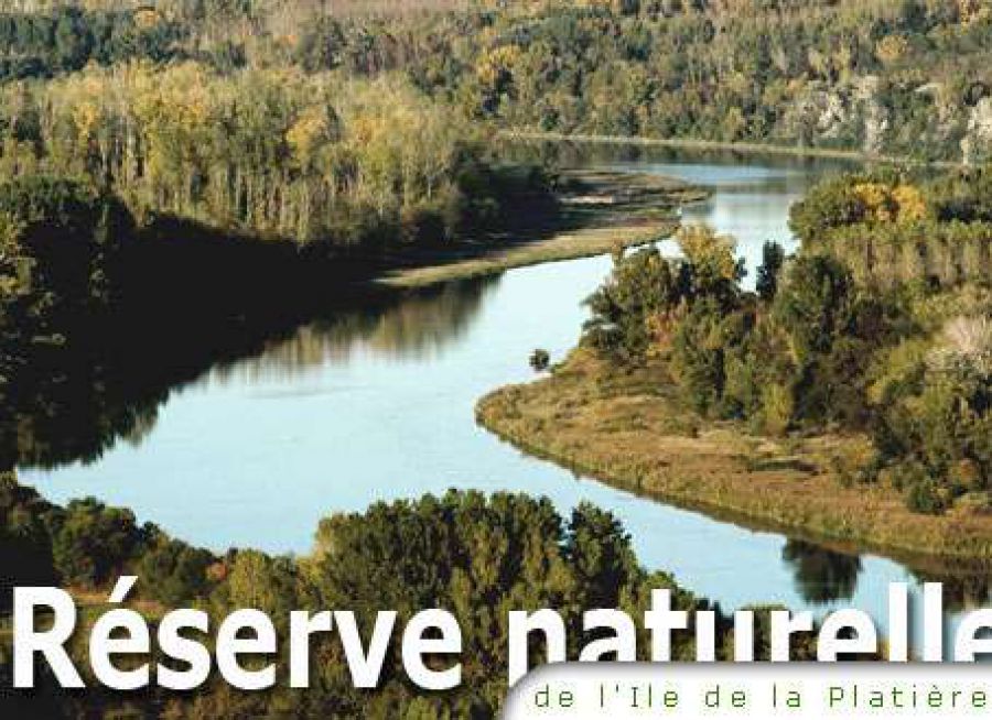 Photo du méandre des Oves, Réserve Naturelle de l'Île de la Platière à Limony en Ardèche