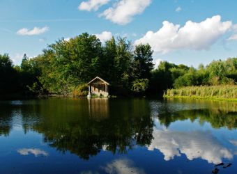 Photo RESERVE NATURELLE DES ETANGS DE BONNELLES