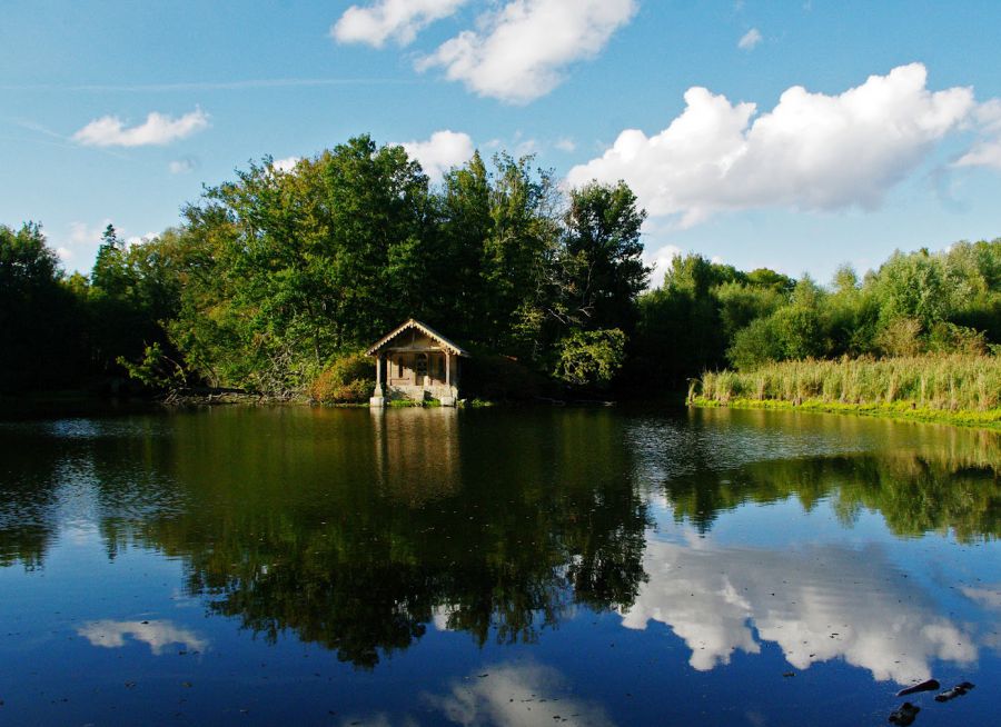 Photo d'un étang de la Réserve Naturelle des Etangs de Bonnelles dans les Yvelines