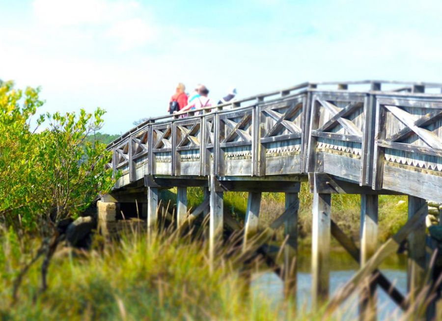 Photo d'un pont surplombant des marais dans la Réserve Naturelle Nationale des Prés Salés à Lège-Cap Ferret en Gironde