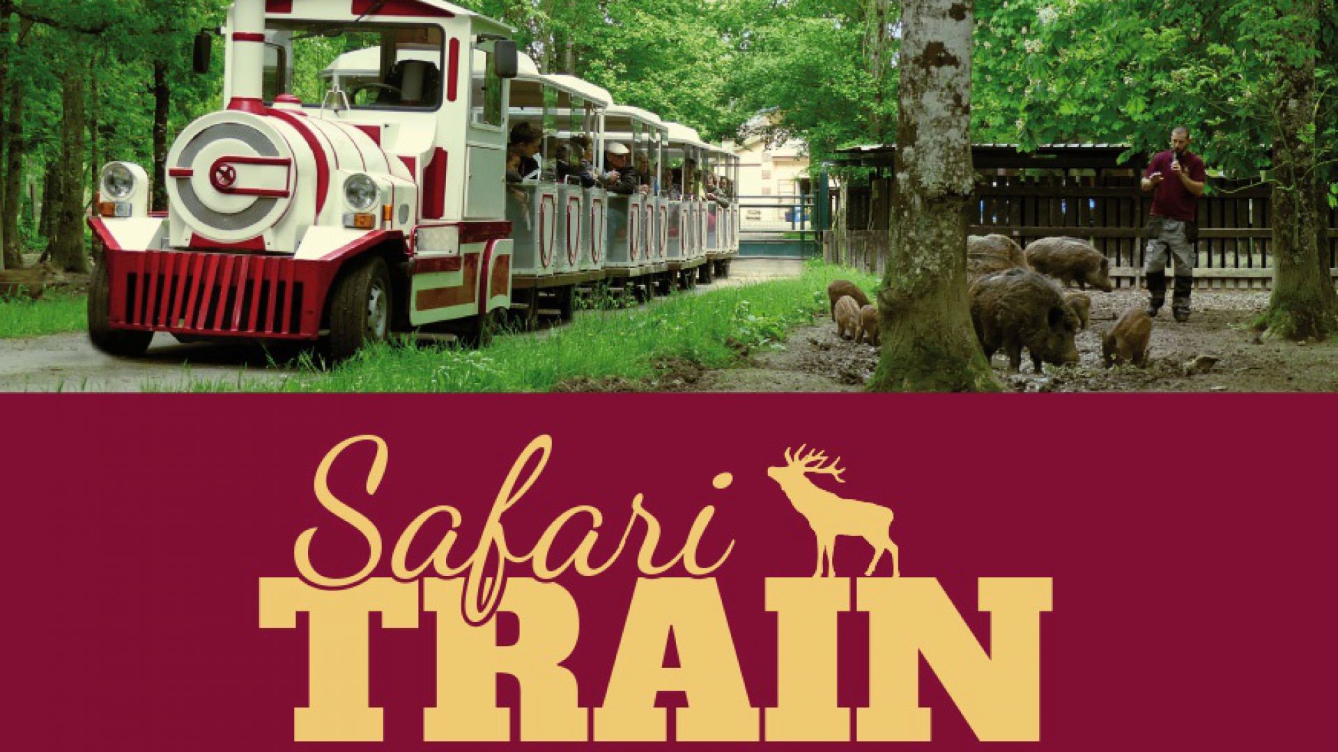 safari train online booking