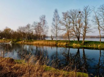 Photo ETANG CHABAUD LATOUR