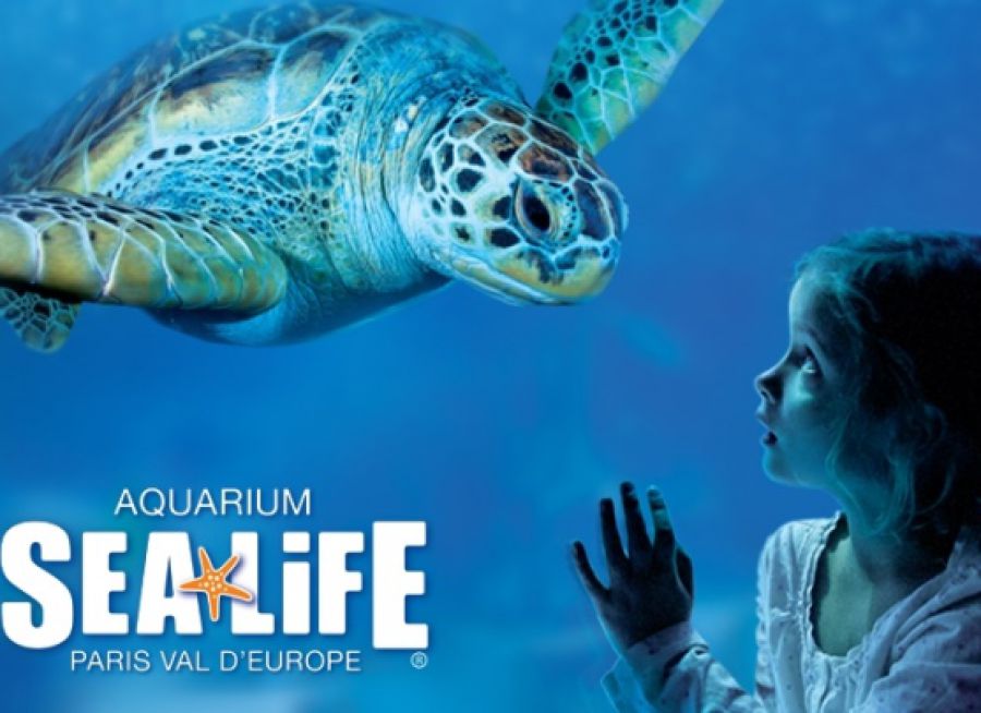 Affiche de l'aquarium Sea Life Paris-Val d'Europe à Serris en Seine-et-Marne