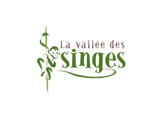 Photo LA VALLEE DES SINGES