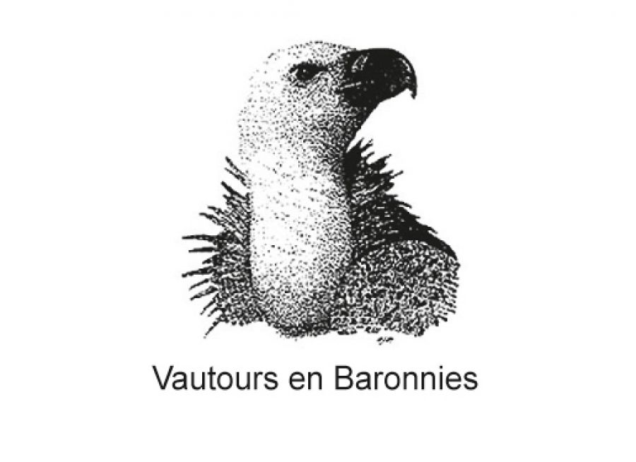 Logo de Vautours en Baronnies, la Maison des Vautours à Rémuzat dans la Drôme