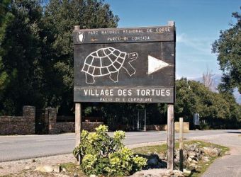 Photo LE VILLAGE DES TORTUES