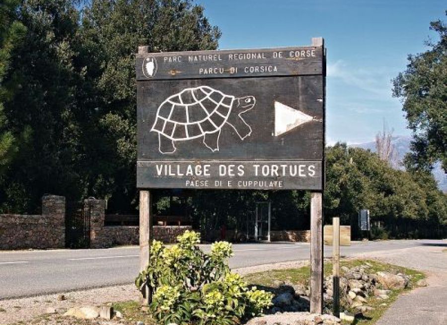 Photo du panneau d'entrée du Village des Tortues à Moltifao en Haute-Corse