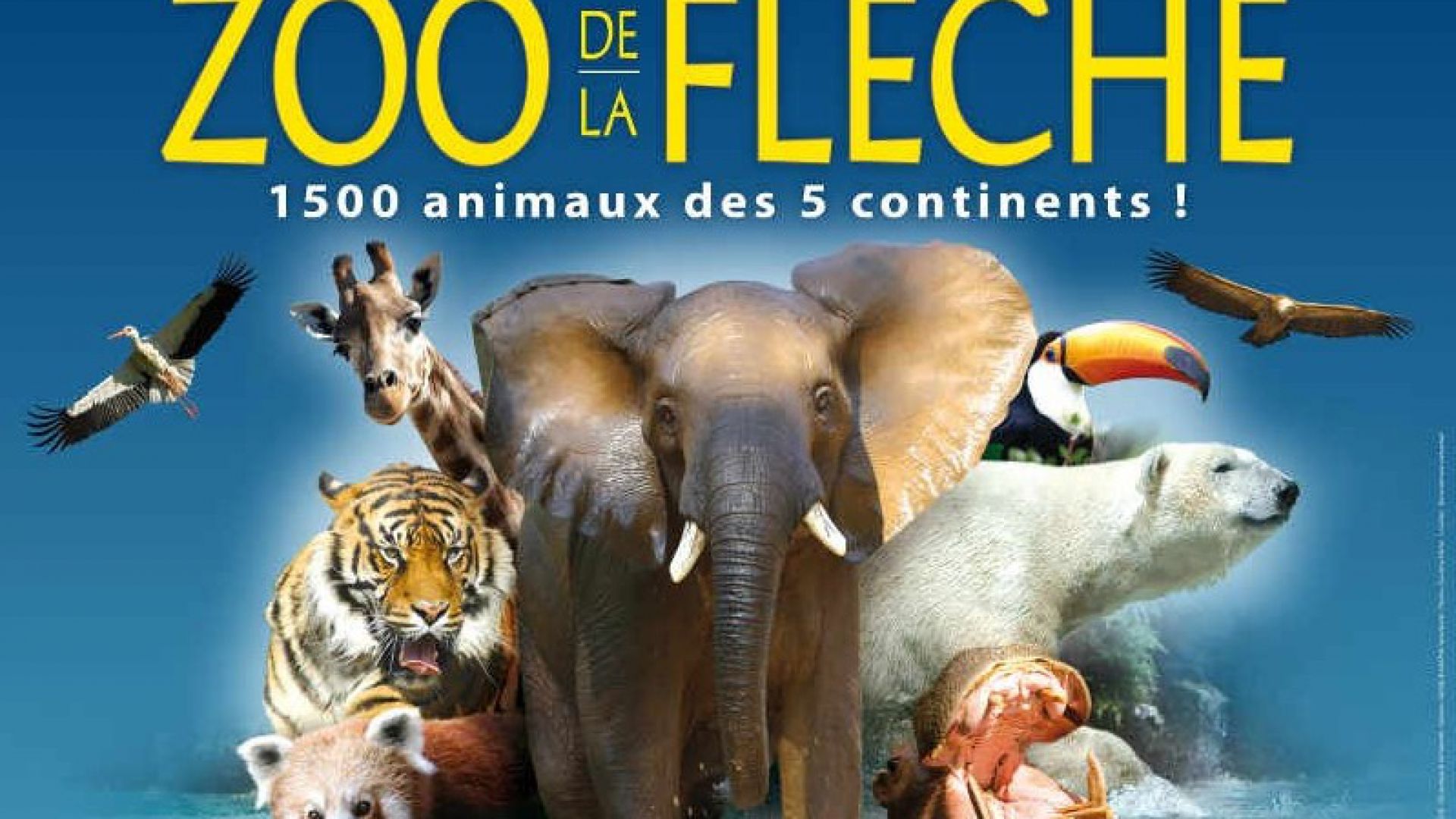 carrefour voyage zoo de la fleche