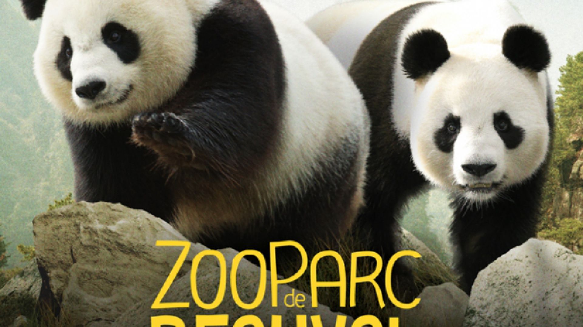 Jeu 54 cartes ZooParc de Beauval - La Boutique du ZooParc de Beauval