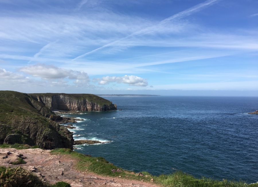 Photo du Cap Fréhel, balade nature et site ornithologique à Plévenon dans les Côtes-d'Armor