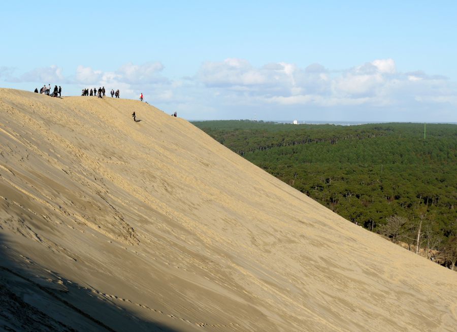 Photo de la Dune du Pilat à La-Teste-de-Buch en Gironde, Pline - Wikimedia Commons - CC BY-SA 3-0